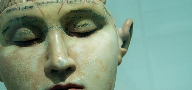 human anatomy model by David Matos courtesy of Unsplash.